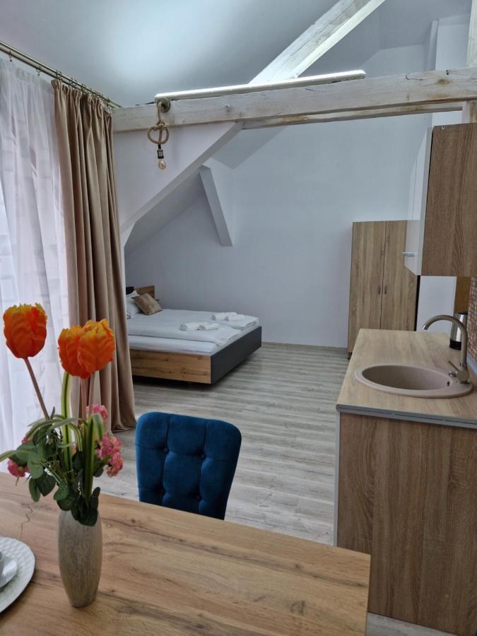 Ori Orange Studio Malul Muresului Arad Extérieur photo